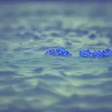 ai image generation for blue flowers on the ocean